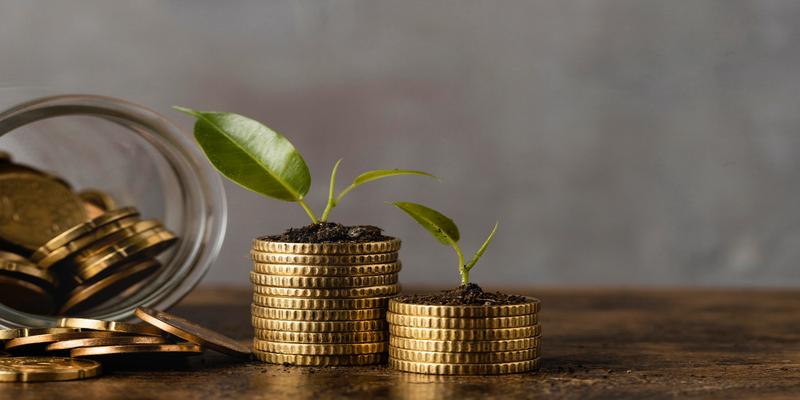 Coins sprouting plants, representing SME growth with digital grants.